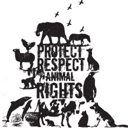 Thumbnail for the home tutoring course about Big Ideas - Animal Rights for Webinar students.
